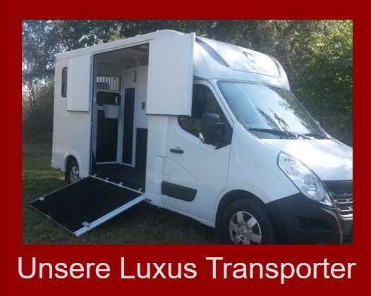 Luxus Pferdetransporter