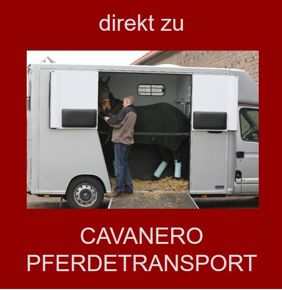 Pferdetransporte